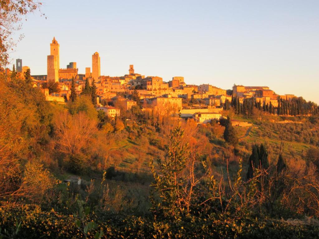 Agriturismo Il Colto Сан Джиминяно Екстериор снимка